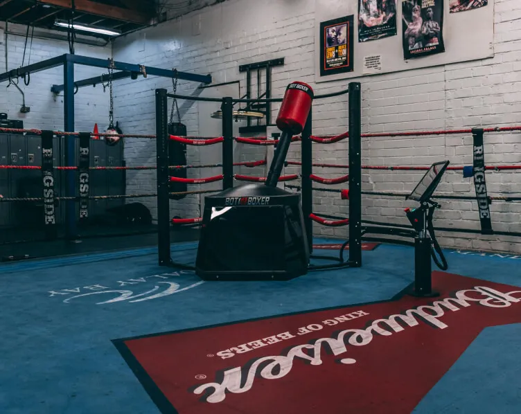Next generation boxing simulator