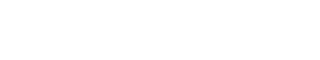 SkyTechSport official logo